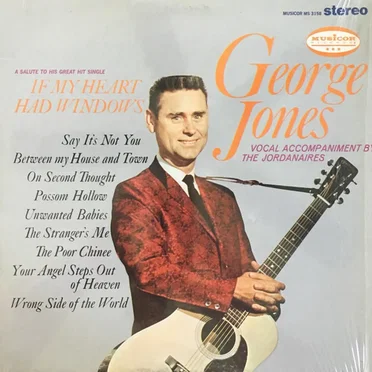 If My Heart Had Windows