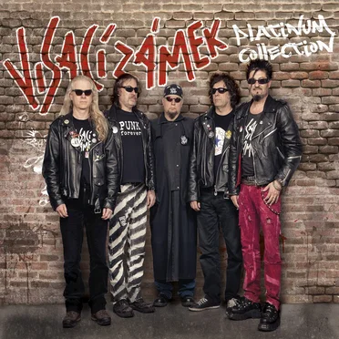 Platinum Collection by Visací zámek - album cover