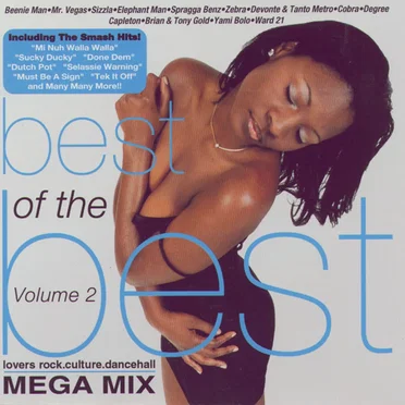 The Best of the Best, Volume 2 by Various Artists - album cover