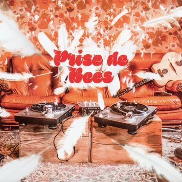 Prise de Becs by Pitt Poule - album cover