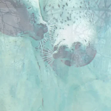 everything feels wrong