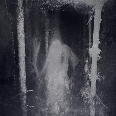 Enshrouded by the Veil of Night
