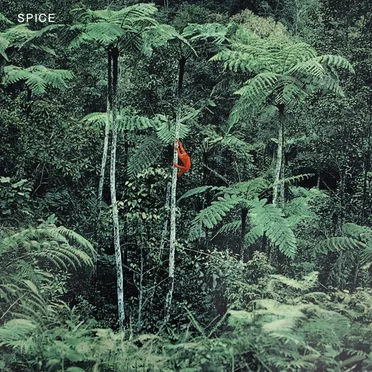 SPICE by SPICE - album cover