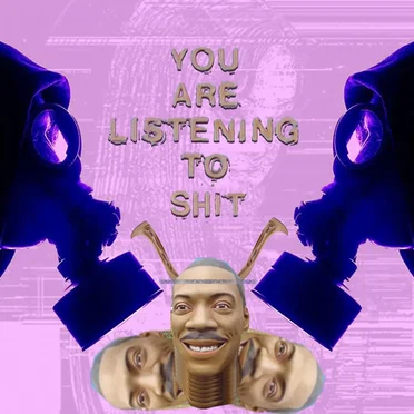 You Are Listening To Shit