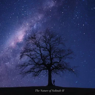 The Nature of Solitude Ii