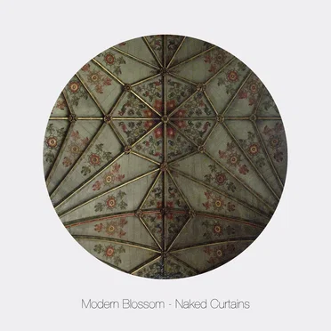 Naked Curtains by Modern Blossom - album cover