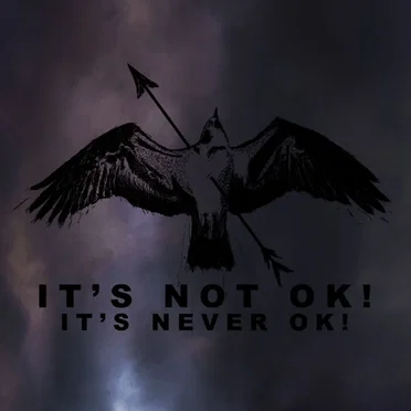 It's Never OK! by It's Not OK! - album cover