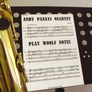 Andy Panayi Quartet Plays Woolf Notes by Andy Panayi Quartet - album cover