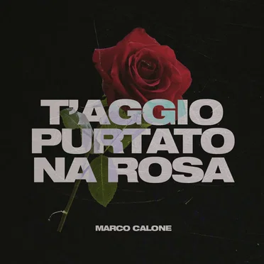 Marco Calone
