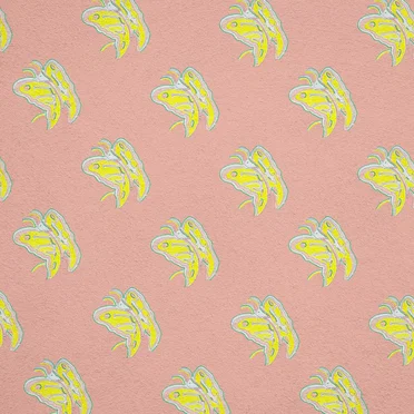 Sunny Soul by Endrick & the Sandwiches - album cover