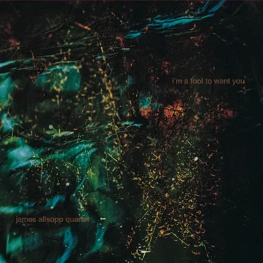 I'm a fool to want you by James Allsopp Quartet - album cover