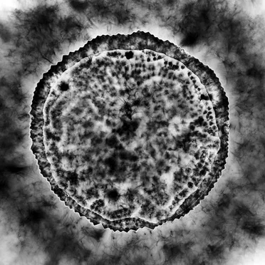 Live at the Gatherings, St. Mary’s Church, Philadelphia USA. November 7th 1998.