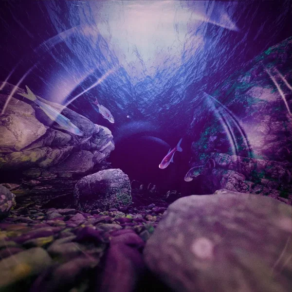 The Deep