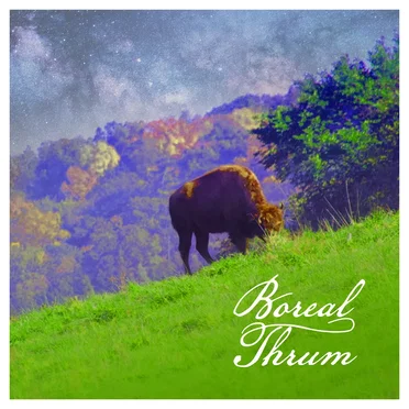 Boreal Thrum by Ben Haskins - album cover