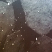 Sebastian Lexer artist image