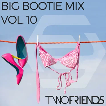 Big Bootie Mix, Volume 10