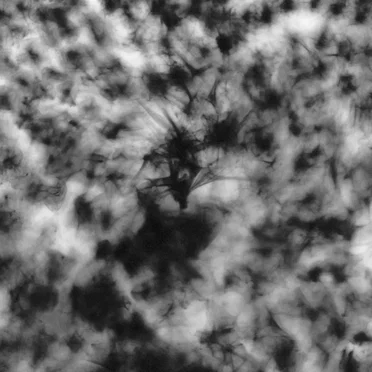 Live in the Ruins of Leofels Castle, Leofels Germany. August 18th 2000.