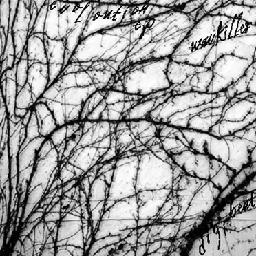 Evoloution EP by Wavkiller - album cover