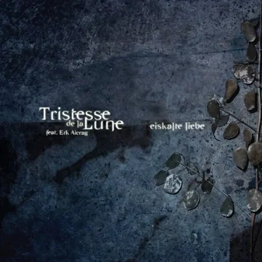 Eiskalte Liebe by Tristesse de la Lune - album cover
