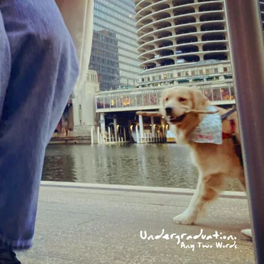 Undergraduation. by Any Two Words - album cover
