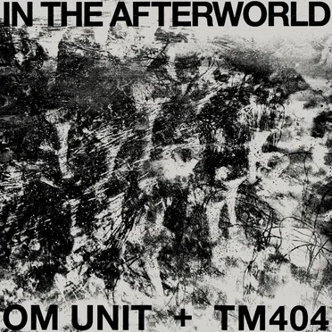In the Afterworld