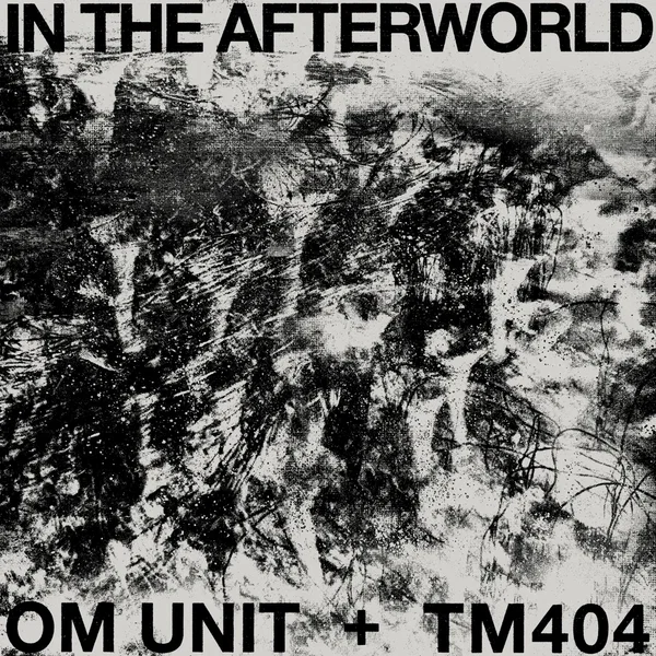 In the Afterworld
