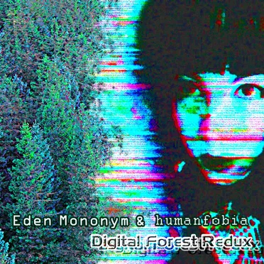 Digital Forest Redux