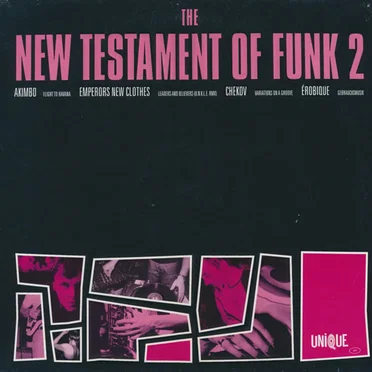 The New Testament of Funk 2 by Various Artists - album cover