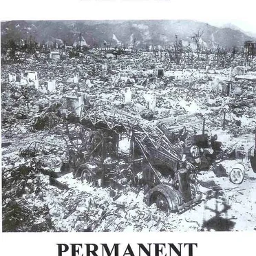 Permanent Damage by Maim - album cover