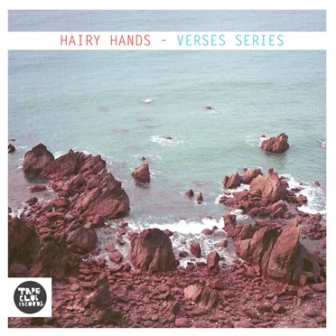 Verses Series by Hairy Hands - album cover