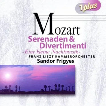 Serenaden & Divertimenti