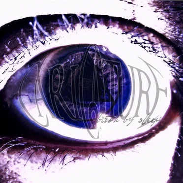 Birth By Sleep
