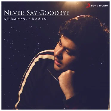 Never Say Goodbye (From “Dil Bechara”)