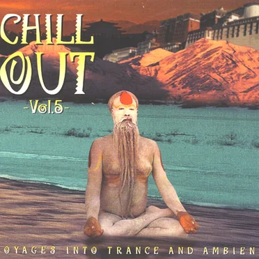 Chill Out Vol. 5: Voyages Into Trance and Ambient by Various Artists - album cover