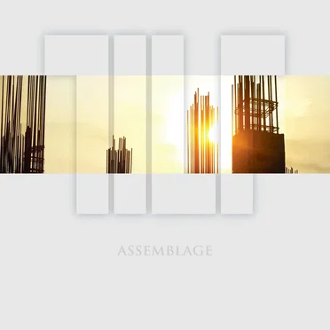 Assemblage