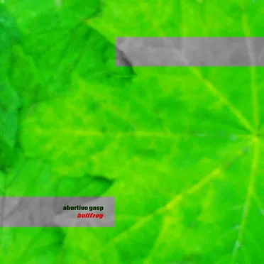 Bullfrog by Abortive Gasp - album cover