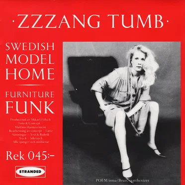 Swedish Model Home by Zzzang Tumb - album cover