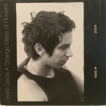 A Strange Mess of Flowers