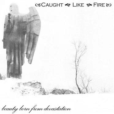 Beauty Through Devastation