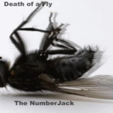 The NumberJack
