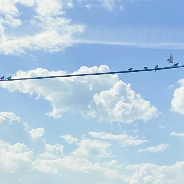 four planes