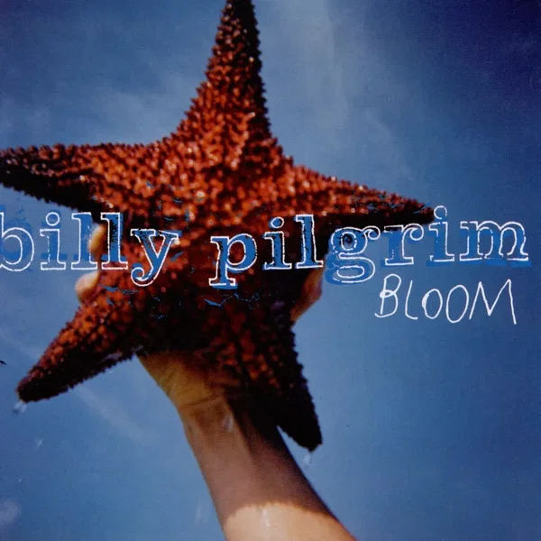 Bloom