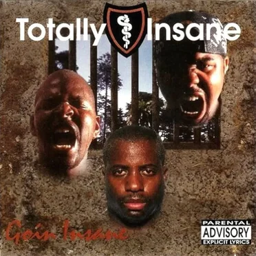 Goin Insane by Totally Insane - album cover