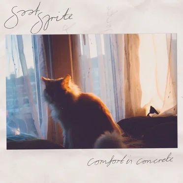 Comfort in Concrete