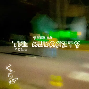 The Audacity by Too Snoozed - album cover