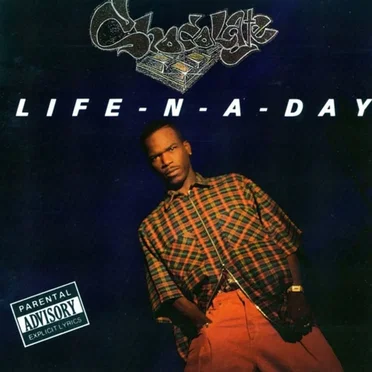 Life-N-A-Day