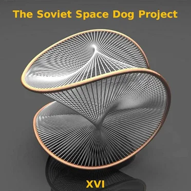 XVI