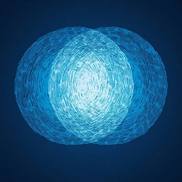 A Night With Sono + Rotersand