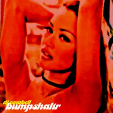 Bumpshaltr by DJ Cowbell - album cover