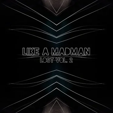 Lost, Vol. 2 by Like A MadMan - album cover